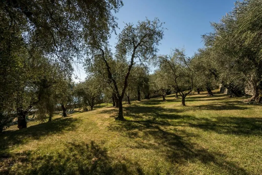 Uliveto - Apartment In Olive Grove Directly On The Lake Gargnano 0*,  Italy